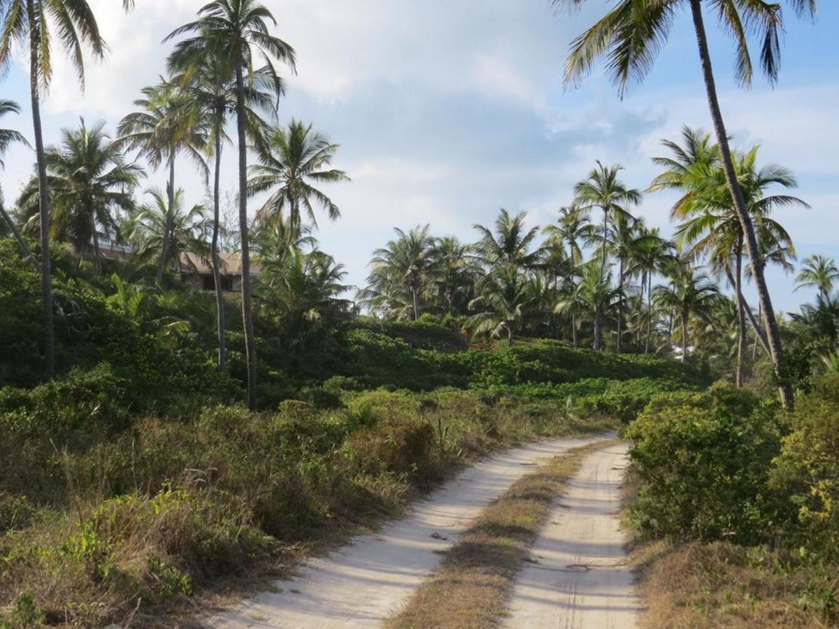 Orchid Cottage By Eleuthera Vacation Rentals Governor's Harbour Buitenkant foto